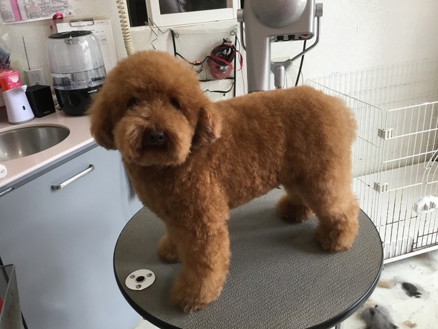 Before