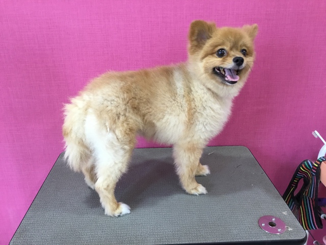 Before