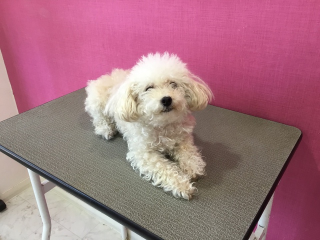 Before